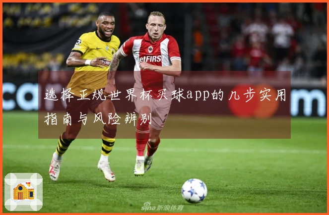 选择正规世界杯买球app的几步实用指南与风险辨别