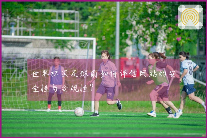 世界杯买足球前如何评估网站的安全性与合规性？