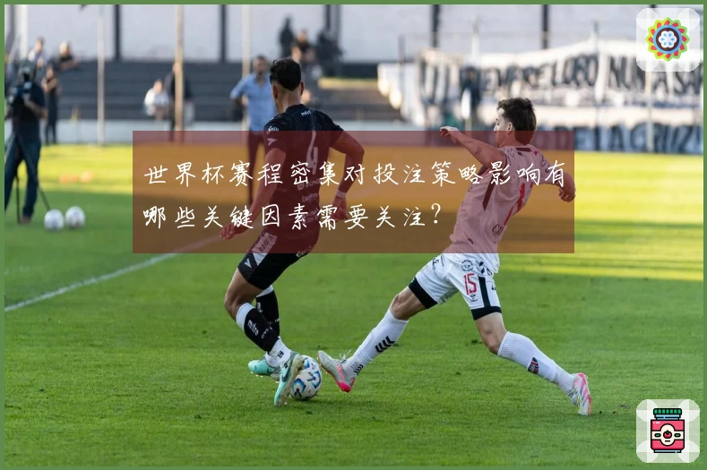 世界杯赛程密集对投注策略影响有哪些关键因素需要关注？
