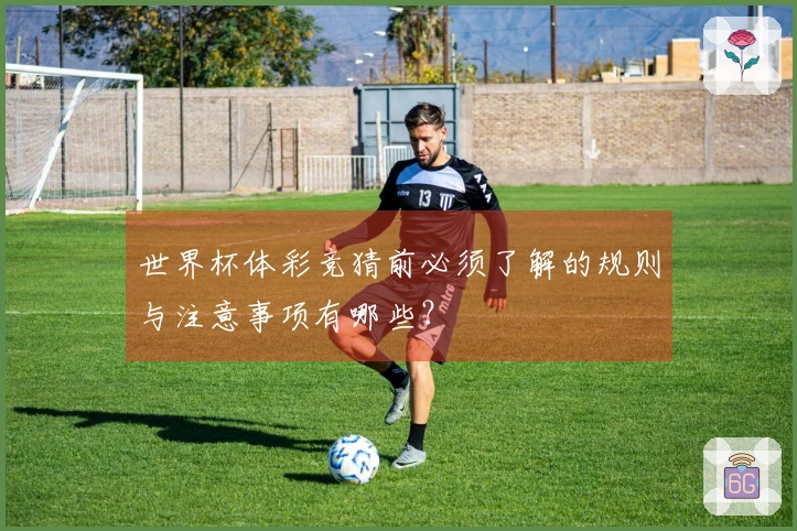 世界杯体彩竞猜前必须了解的规则与注意事项有哪些?