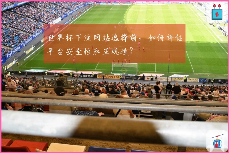 世界杯下注网站选择前，如何评估平台安全性和正规性？