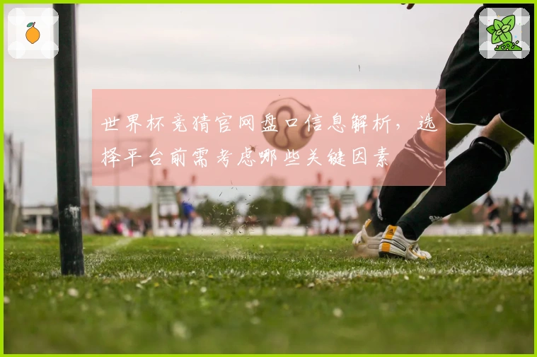 世界杯竞猜官网盘口信息解析，选择平台前需考虑哪些关键因素