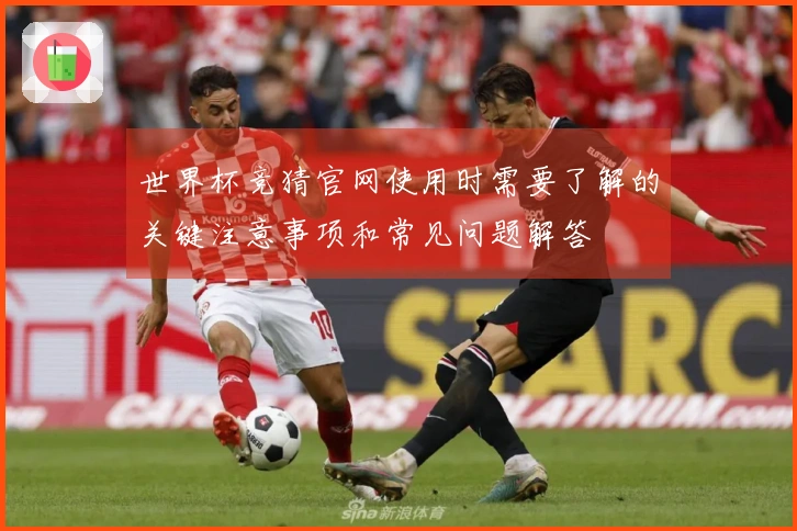 世界杯竞猜官网使用时需要了解的关键注意事项和常见问题解答