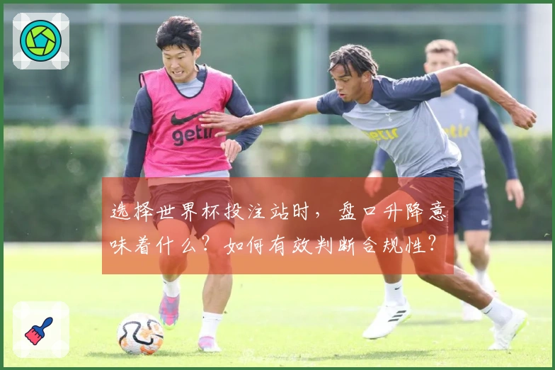 选择世界杯投注站时，盘口升降意味着什么？如何有效判断合规性？