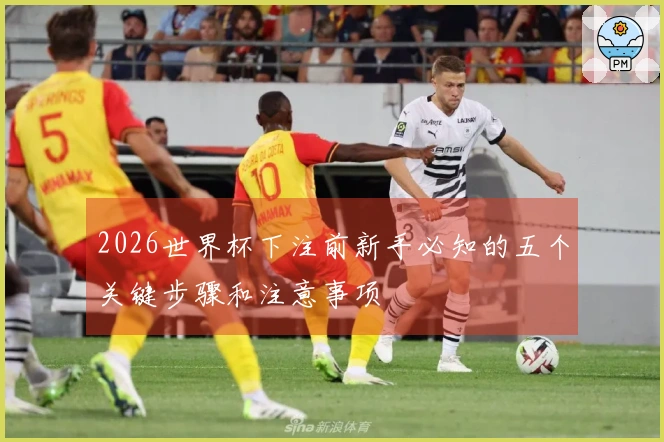 2026世界杯下注前新手必知的五个关键步骤和注意事项