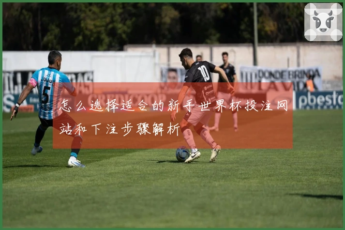 怎么选择适合的新手世界杯投注网站和下注步骤解析