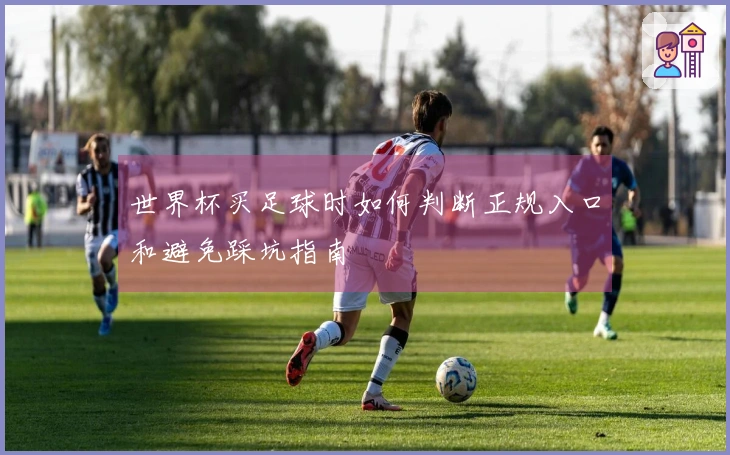 世界杯买足球时如何判断正规入口和避免踩坑指南