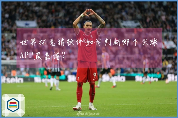 世界杯竞猜软件如何判断哪个买球APP最靠谱？