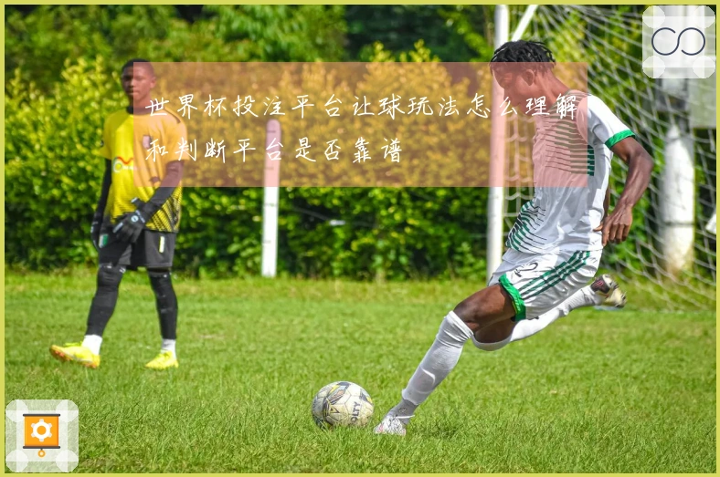 世界杯投注平台让球玩法怎么理解和判断平台是否靠谱