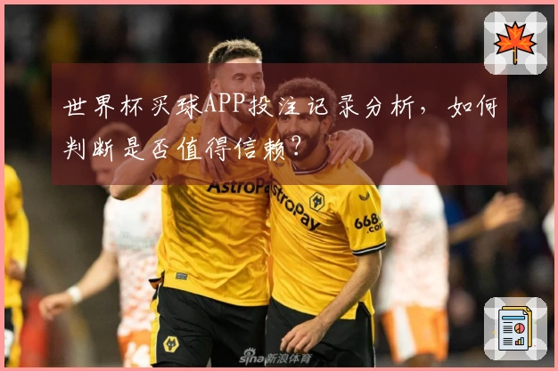 世界杯买球APP投注记录分析，如何判断是否值得信赖？