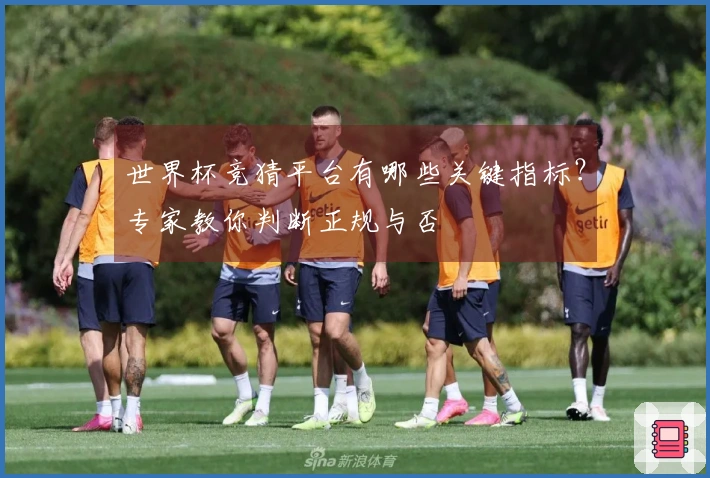 世界杯竞猜平台有哪些关键指标？专家教你判断正规与否