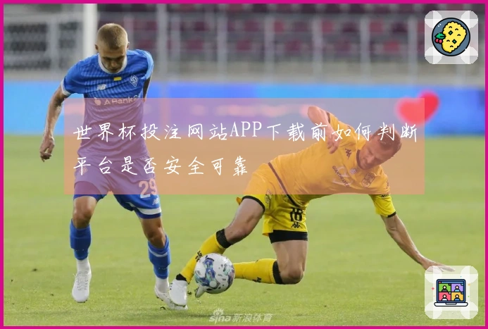 世界杯投注网站APP下载前如何判断平台是否安全可靠