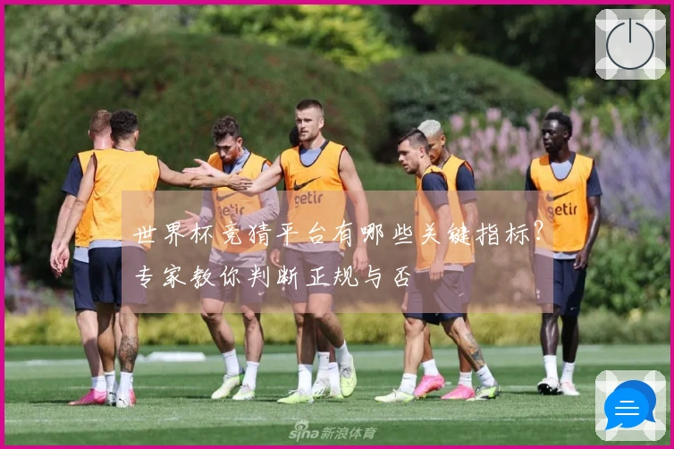 世界杯竞猜平台有哪些关键指标？专家教你判断正规与否