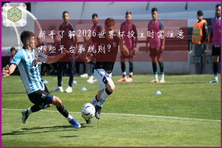 新手了解2026世界杯投注时需注意哪些平台和规则？