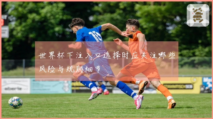 世界杯下注入口选择时应关注哪些风险与规则细节
