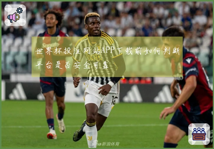 世界杯投注网站APP下载前如何判断平台是否安全可靠