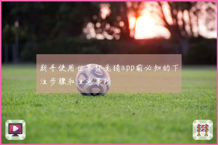 新手使用世界杯竞猜app前必知的下注步骤和注意事项