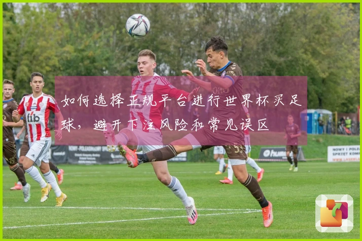 如何选择正规平台进行世界杯买足球，避开下注风险和常见误区