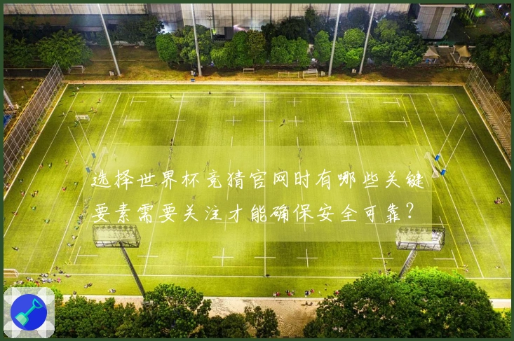 选择世界杯竞猜官网时有哪些关键要素需要关注才能确保安全可靠？