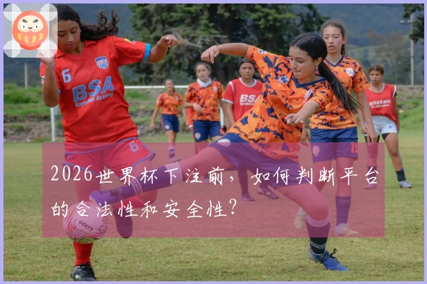 2026世界杯下注前，如何判断平台的合法性和安全性？