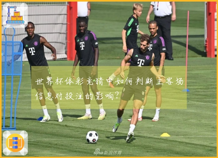 世界杯体彩竞猜中如何判断主客场信息对投注的影响？
