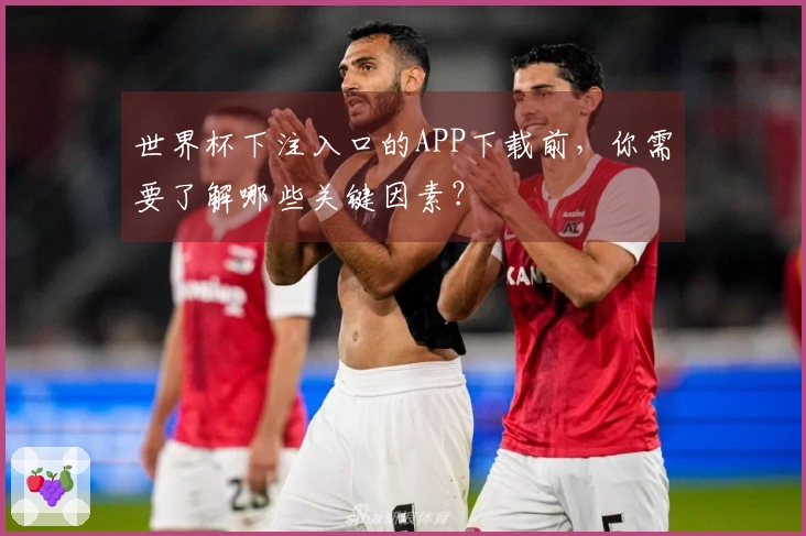 世界杯下注入口的APP下载前，你需要了解哪些关键因素？