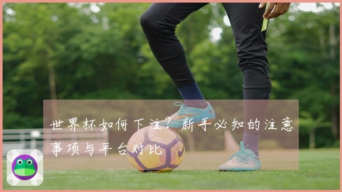 世界杯如何下注？新手必知的注意事项与平台对比