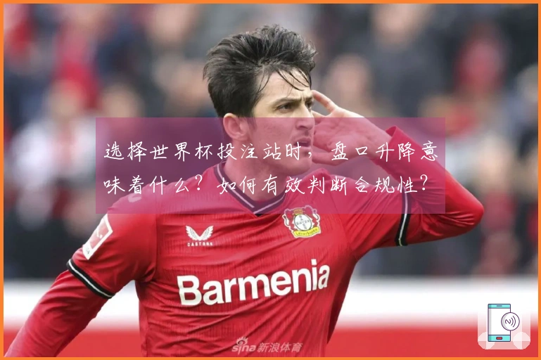 选择世界杯投注站时，盘口升降意味着什么？如何有效判断合规性？