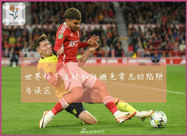 世界杯下注时如何避免常见的陷阱与误区