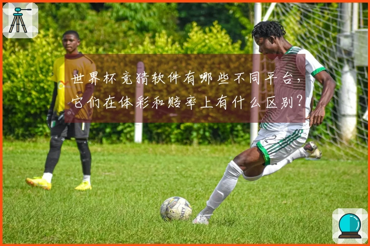 世界杯竞猜软件有哪些不同平台，它们在体彩和赔率上有什么区别？